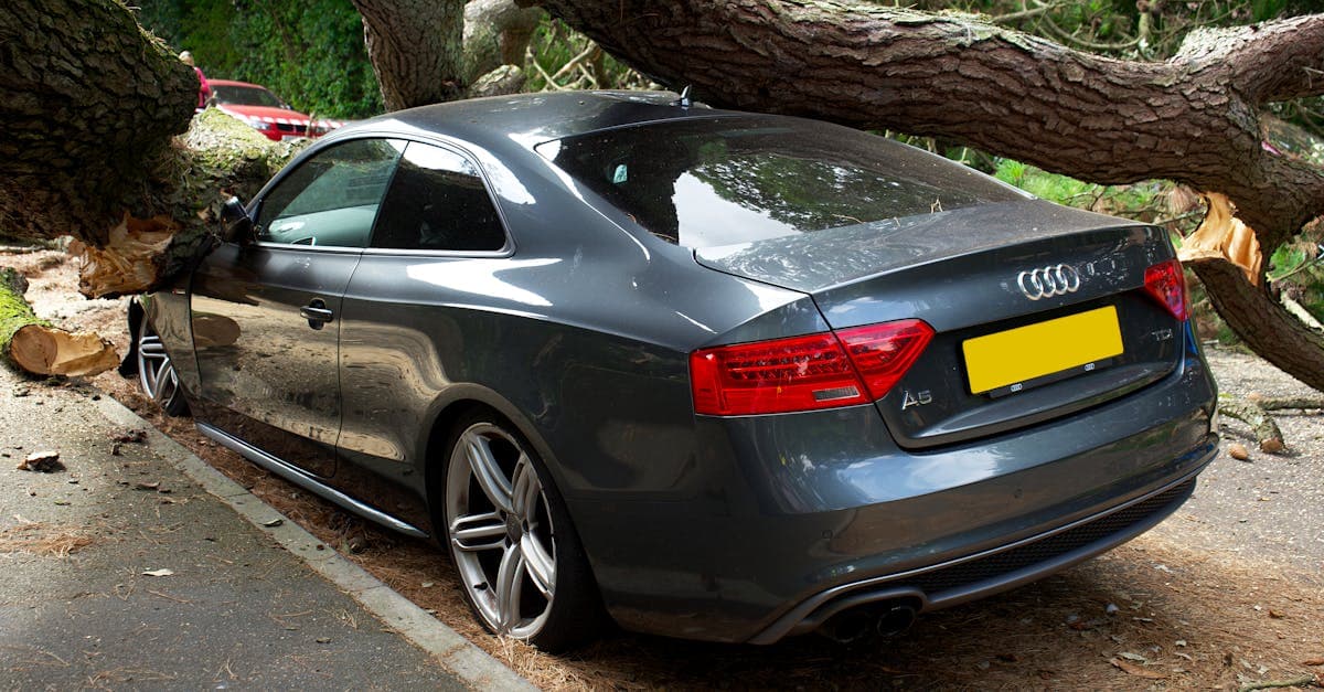 Cover Image for Does Comprehensive Insurance Cover Weather Damage to Your Car?