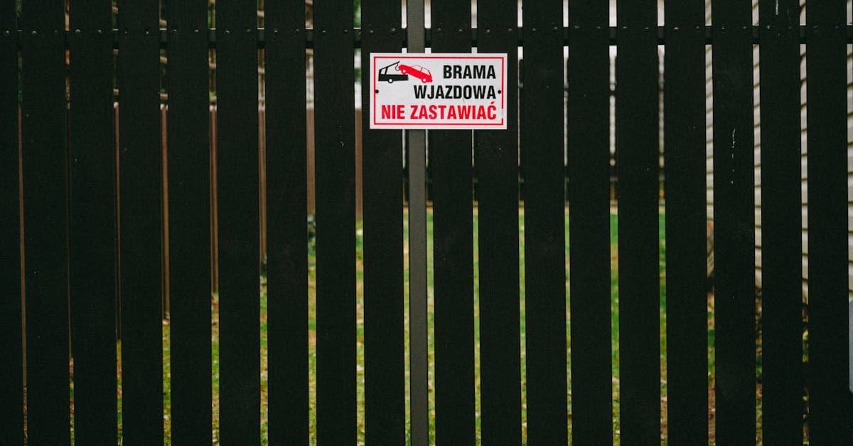 The True Cost of a Florida Car Insurance Lapse