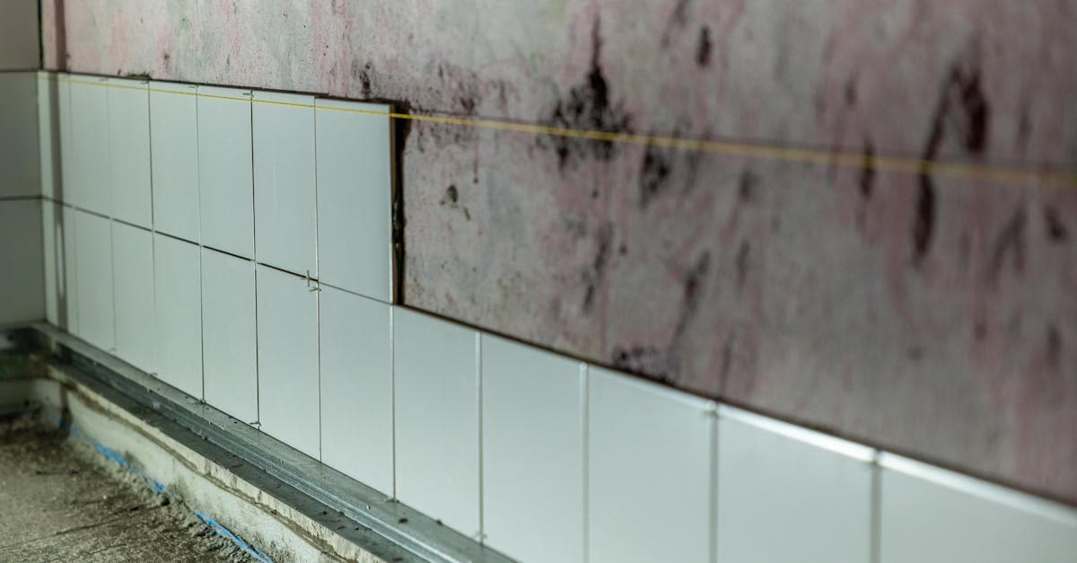Cover Image for Why Most Mold Claims Get Denied by Homeowners Insurance