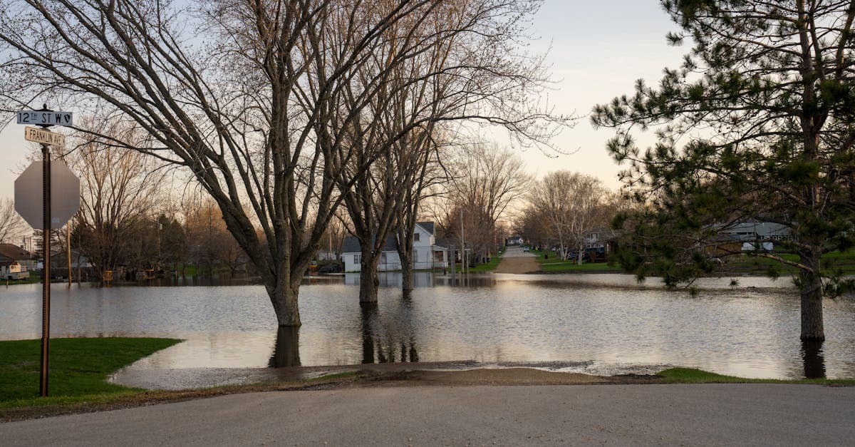 Cover Image for Do You Need Flood Insurance? Understanding Your Risk