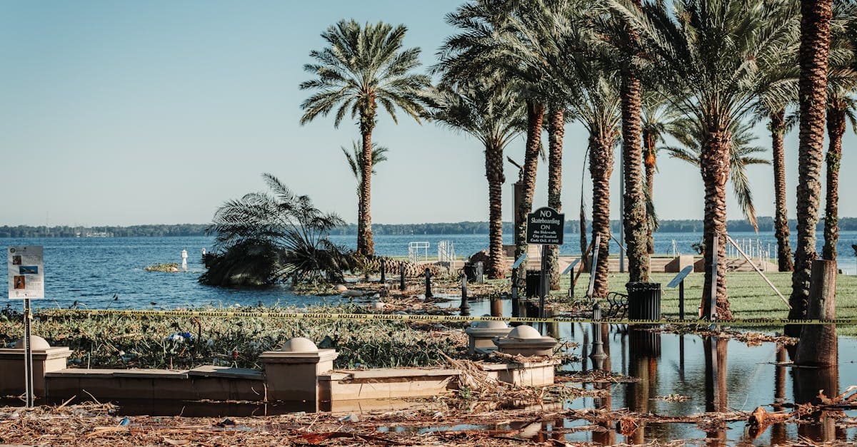 Cover Image for How to Calculate Your Florida Hurricane Deductible in Dollars