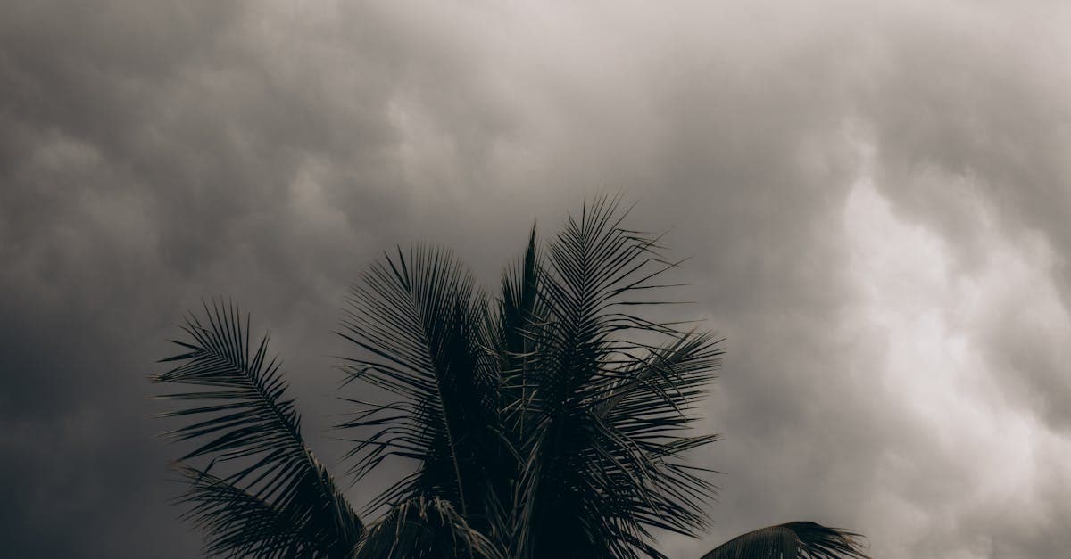 Cover Image for Per-Occurrence vs Annual Aggregate: How Hurricane Deductibles Really Work
