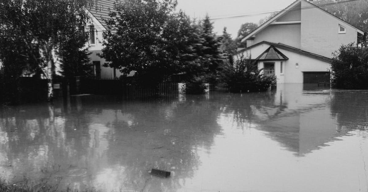 Cover Image for The Hidden Flood Risk in Moderate and Low-Risk Zones