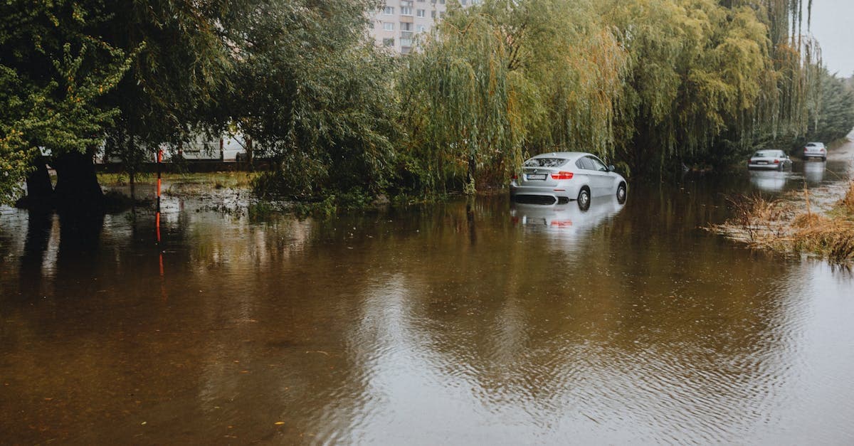 Cover Image for How Much Does Flood Insurance Cost for Renters?